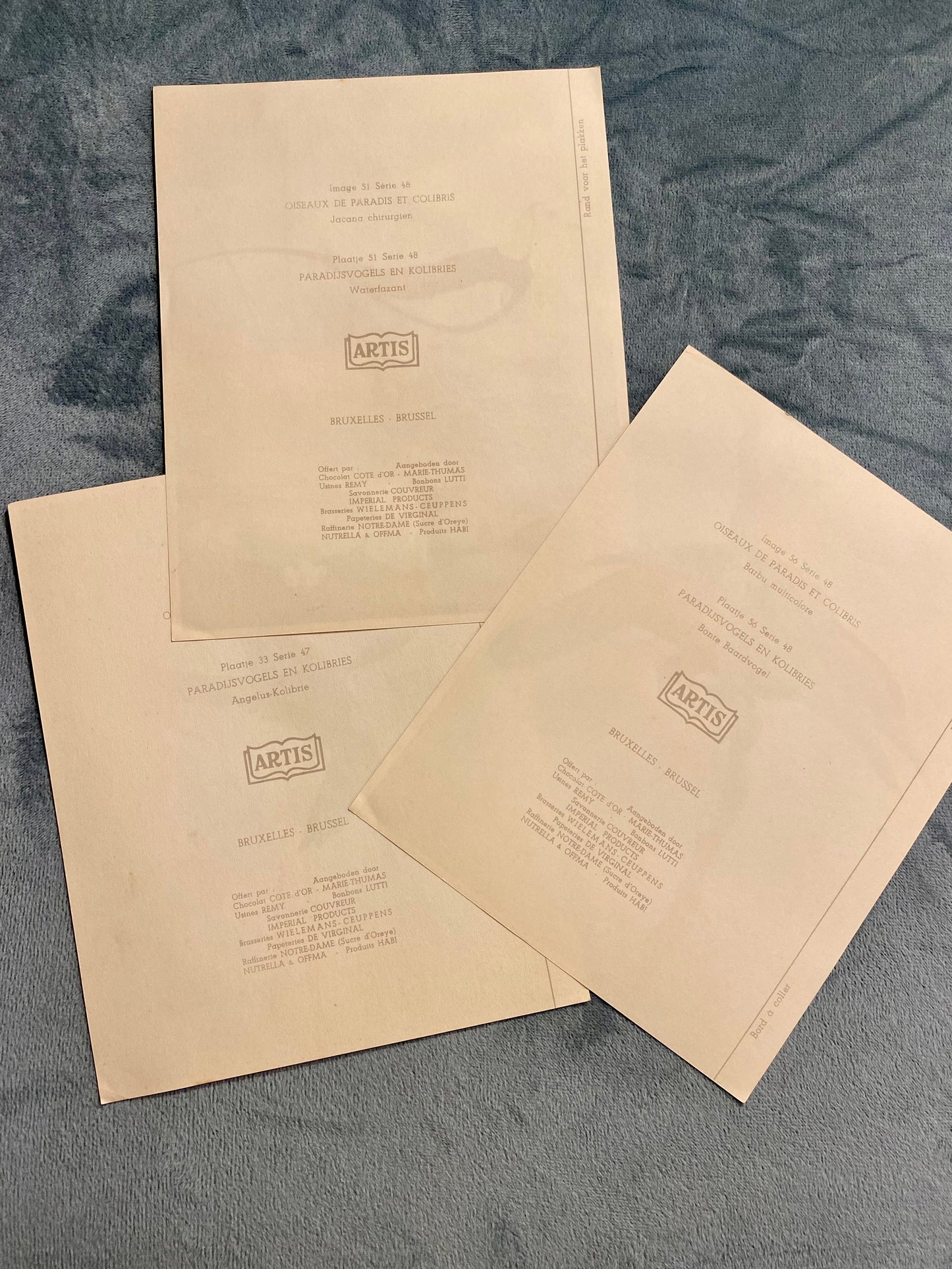 Ensemble de 3 images