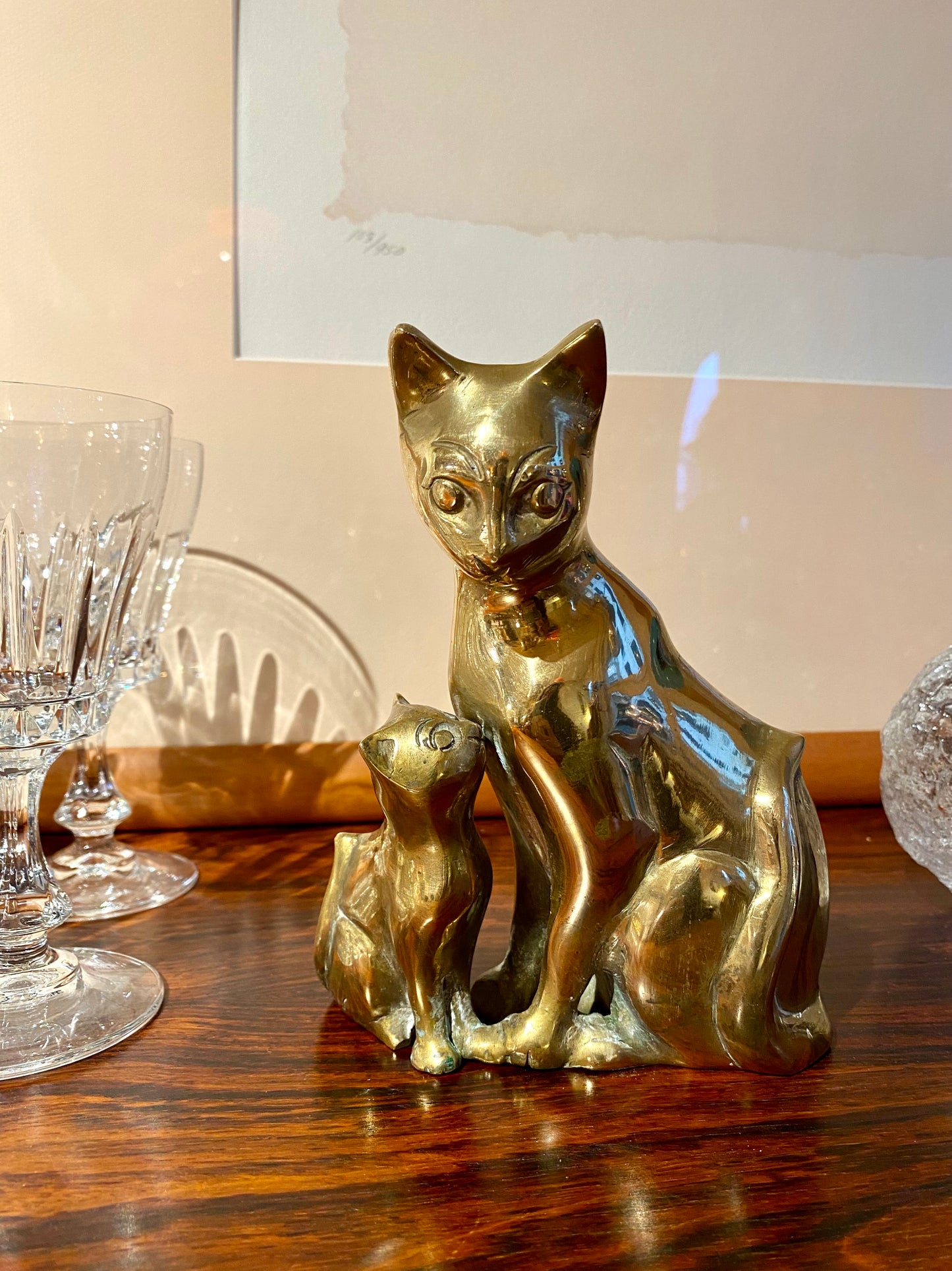 Chat laiton années 70