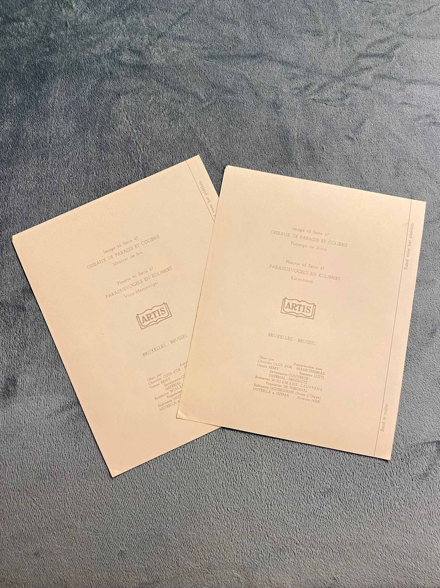 Ensemble de 2 images Artis