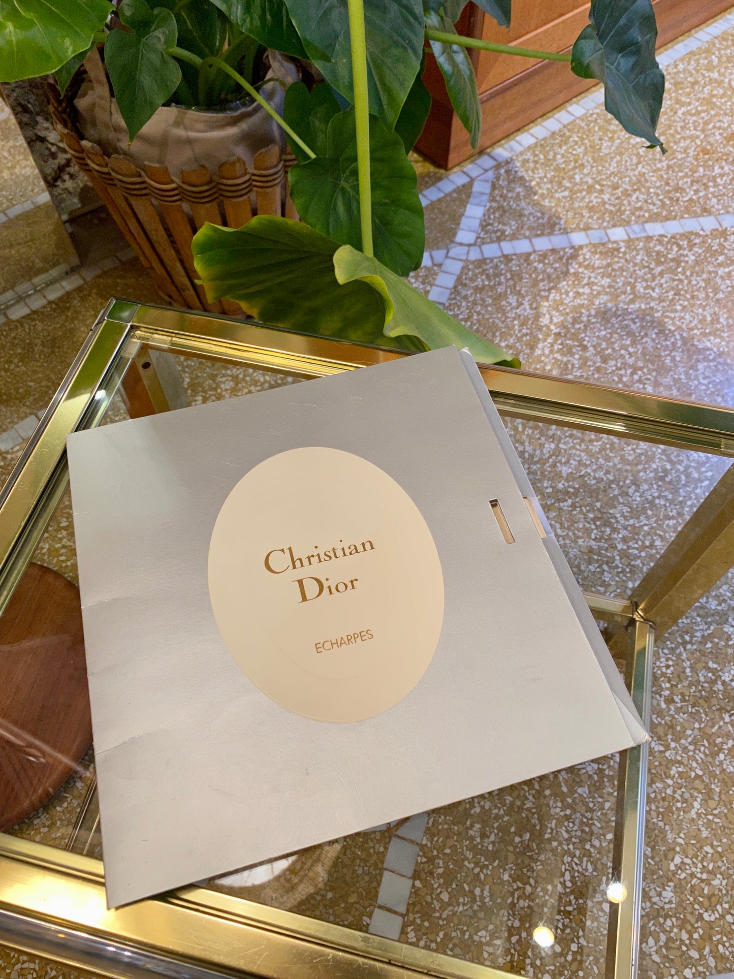 Zoé - Grand carré Dior en soie